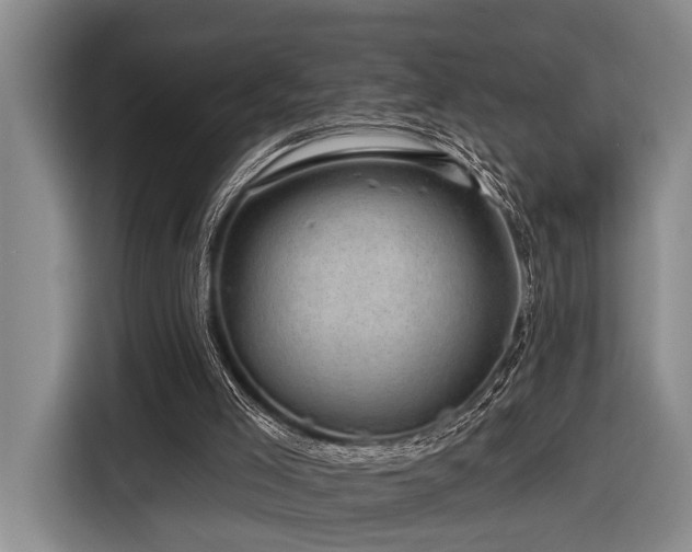X0000116870005200912221415