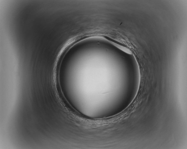 X0000116870006200912221415