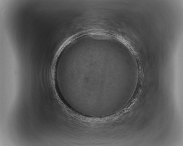 X0000116870007200912221415