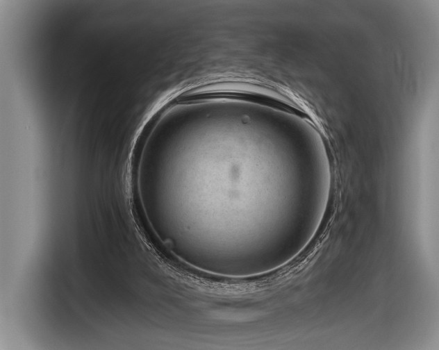 X0000116870008200912221415
