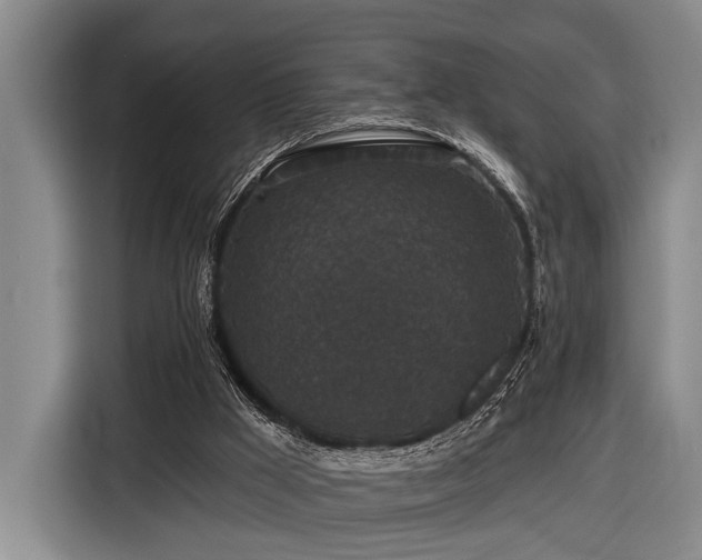 X0000116870009200912221415