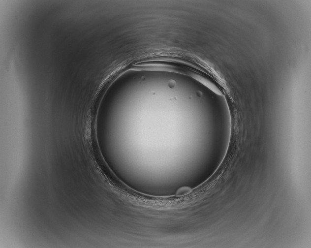 X0000116870010200912221415