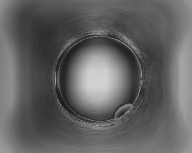 X0000116870011200912221415