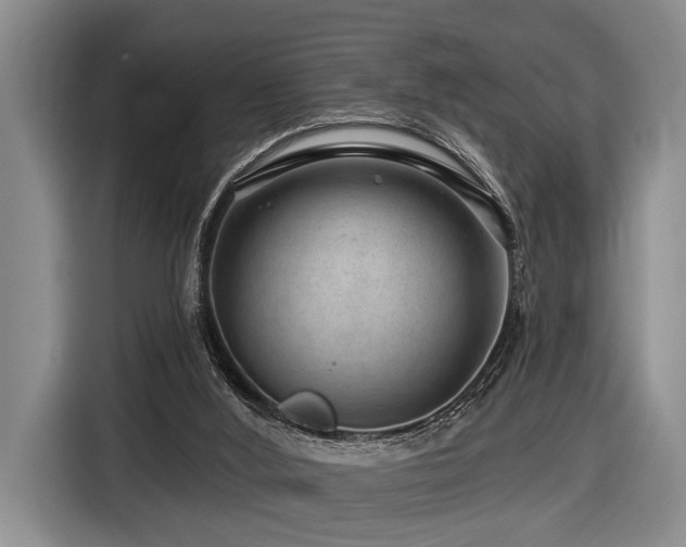 X0000116870012200912221415