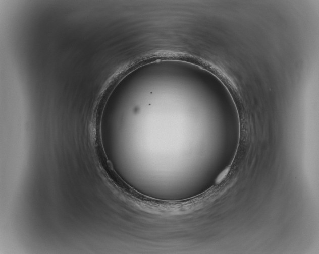 X0000116870015200912221415