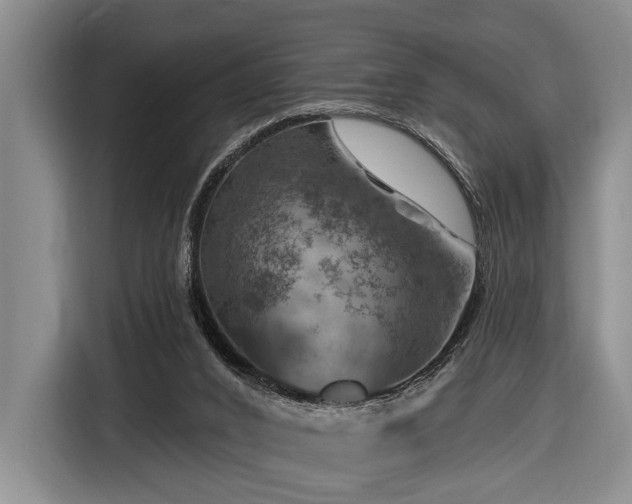 X0000116870016200912221415