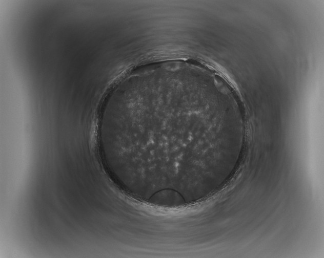X0000116870018200912221415