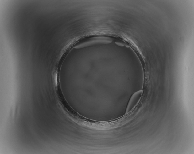 X0000116870019200912221415