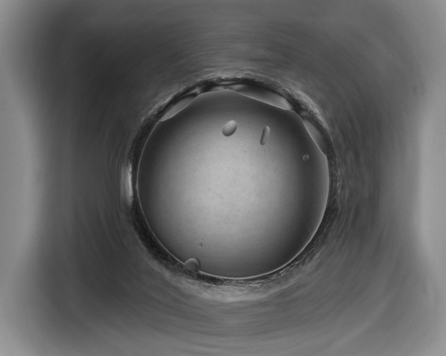 X0000116870020200912221415