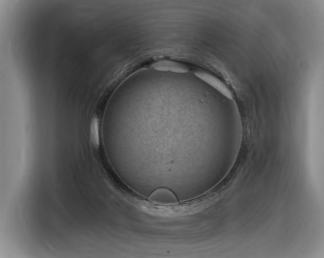 X0000116870022200912221414