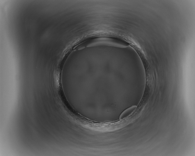 X0000116870023200912221414