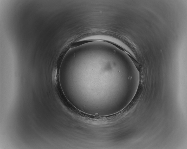 X0000116870024200912221414