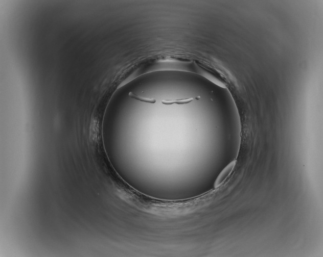 X0000116870025200912221414