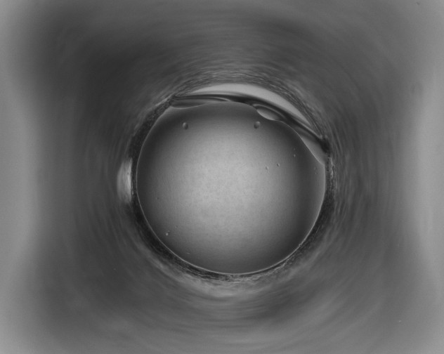 X0000116870028200912221414