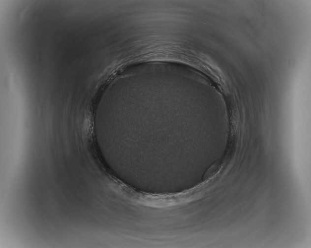 X0000116870029200912221414