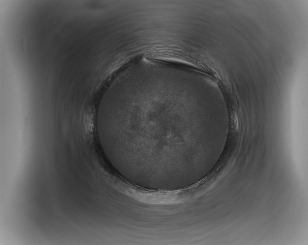 X0000116870032200912221414