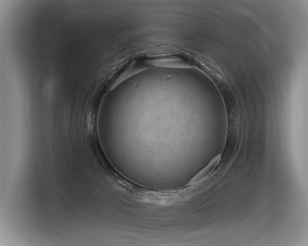 X0000116870033200912221414