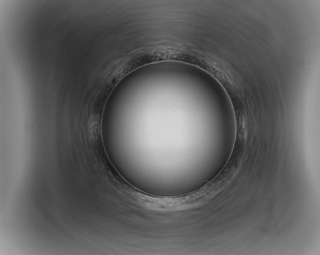 X0000116870034200912221414