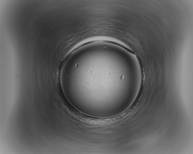 X0000116870036200912221414