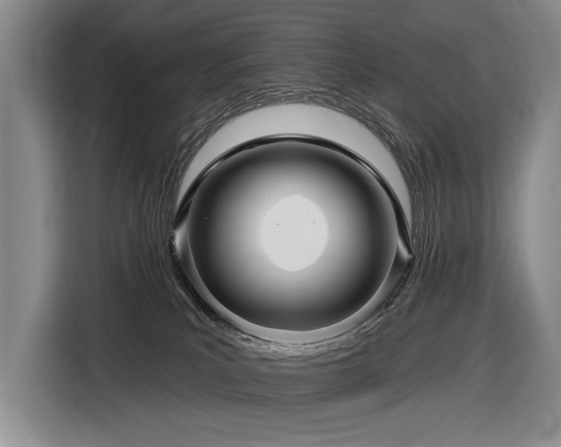 X0000116870039200912221414