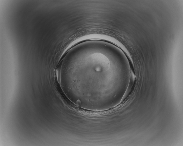 X0000116870040200912221414