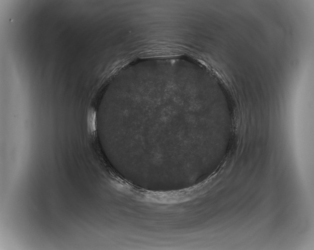 X0000116870041200912221414