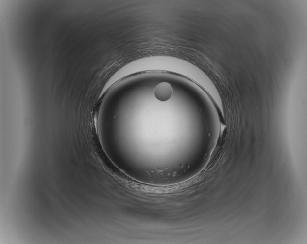 X0000116870043200912221414