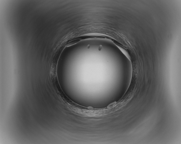 X0000116870044200912221414