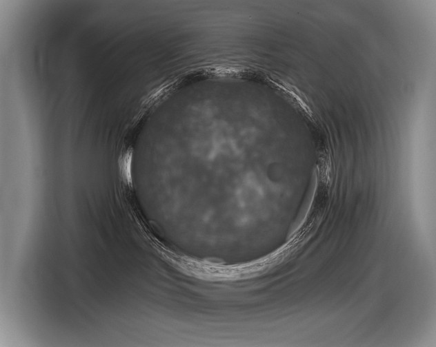 X0000116870047200912221414