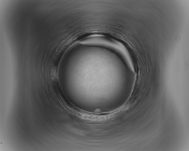 X0000116870048200912221414