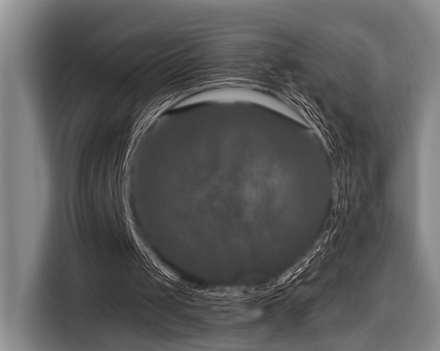 X0000116870049200912221414