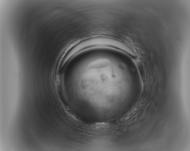 X0000116870050200912221414