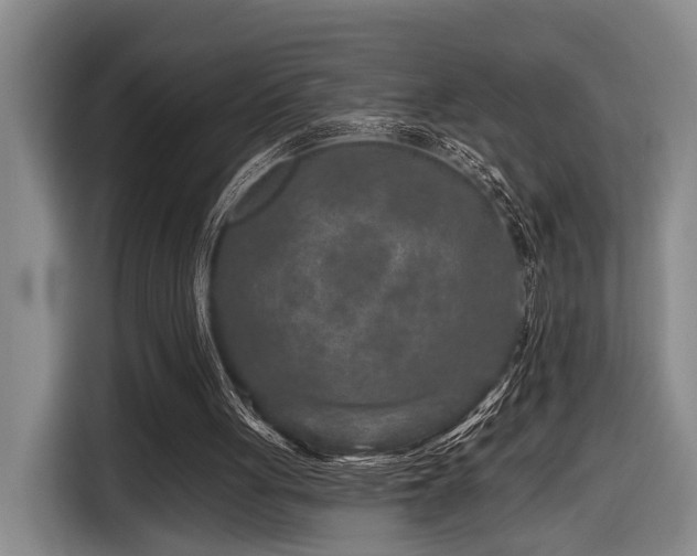 X0000116870051200912221414
