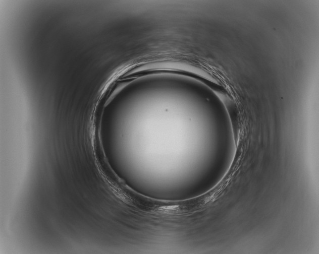 X0000116870054200912221414