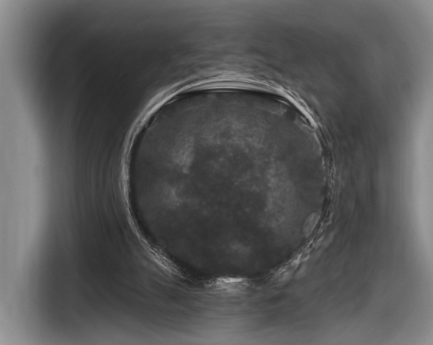 X0000116870055200912221414