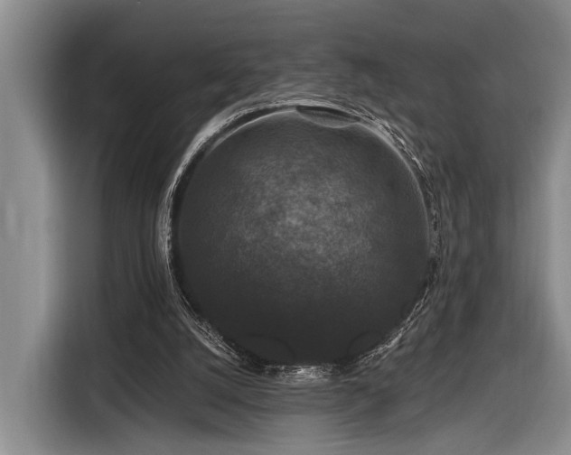 X0000116870056200912221414