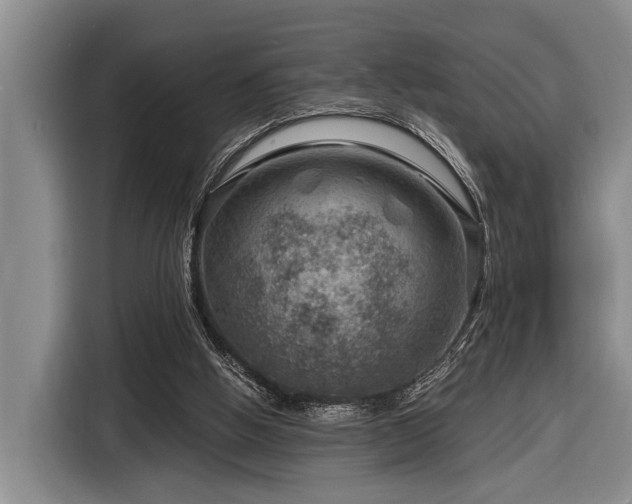 X0000116870058200912221414