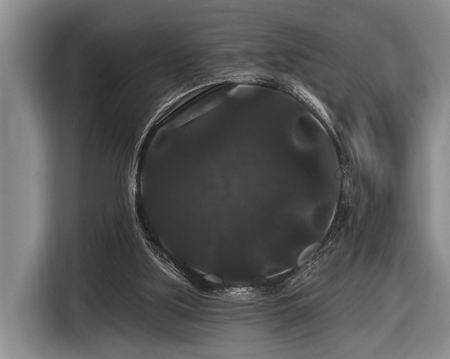 X0000116870059200912221414