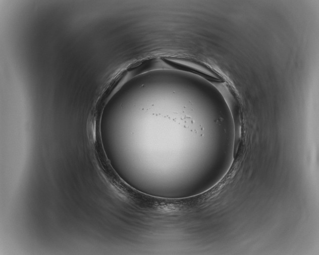 X0000116870062200912221414