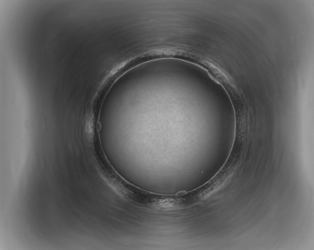 X0000116870064200912221414