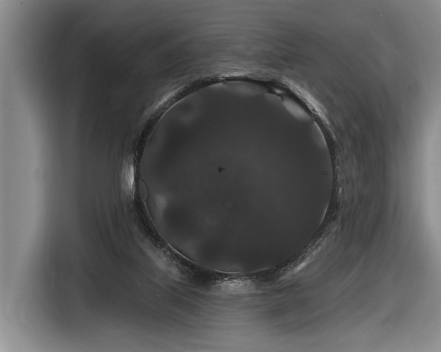 X0000116870067200912221414