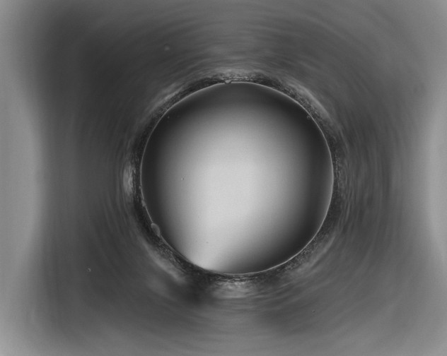 X0000116870071200912221414