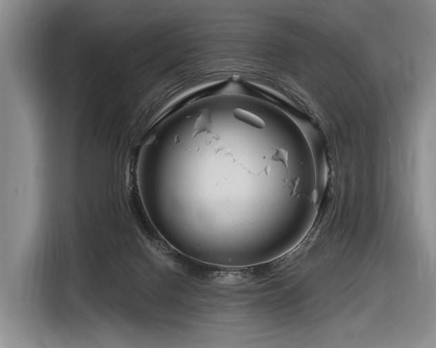 X0000116870074200912221414