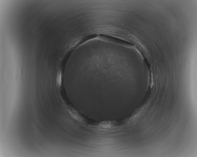 X0000116870076200912221414