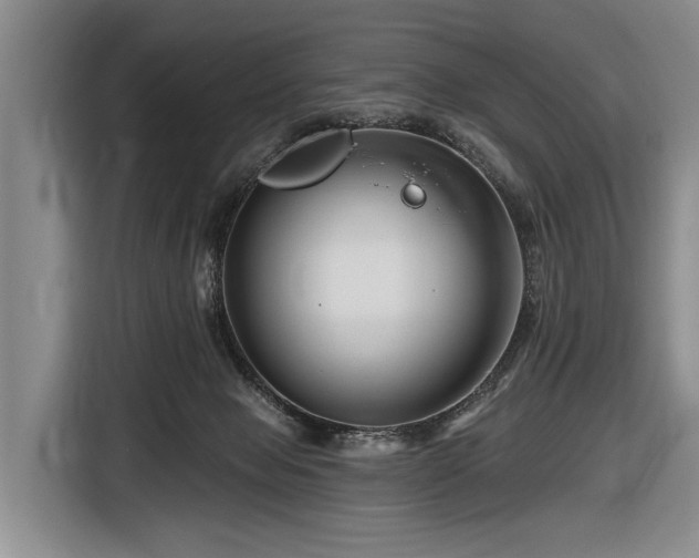 X0000116870077200912221414