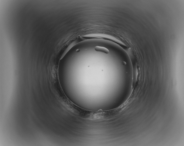 X0000116870078200912221414