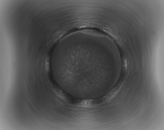 X0000116870080200912221414