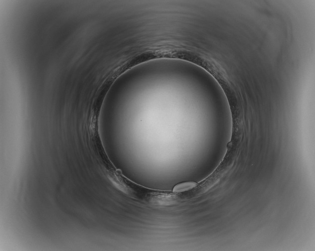X0000116870081200912221414
