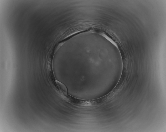 X0000116870083200912221414