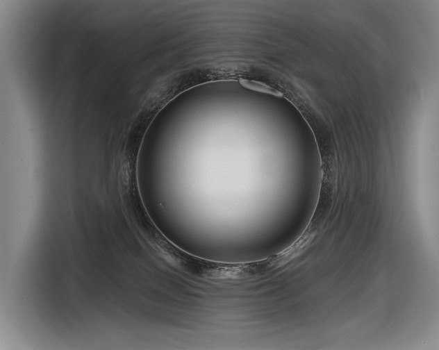 X0000116870086200912221414